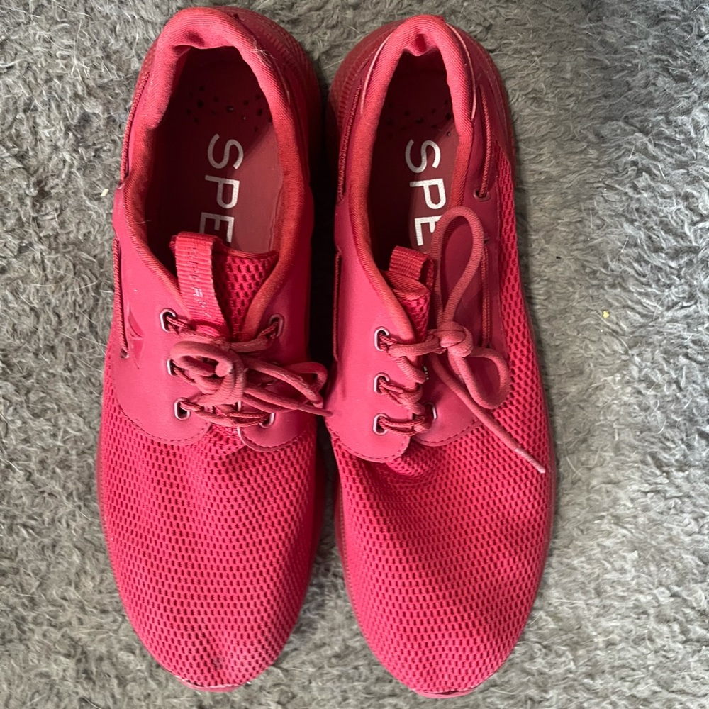 Sperry Water Shoes